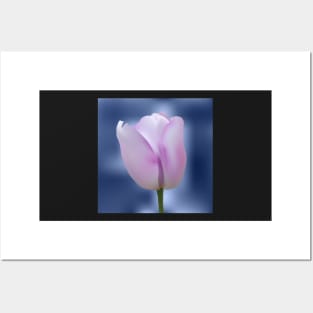 Realistic purple tulip Posters and Art